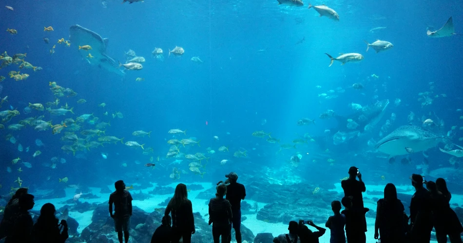 10 Top Tourist Attractions in Atlanta