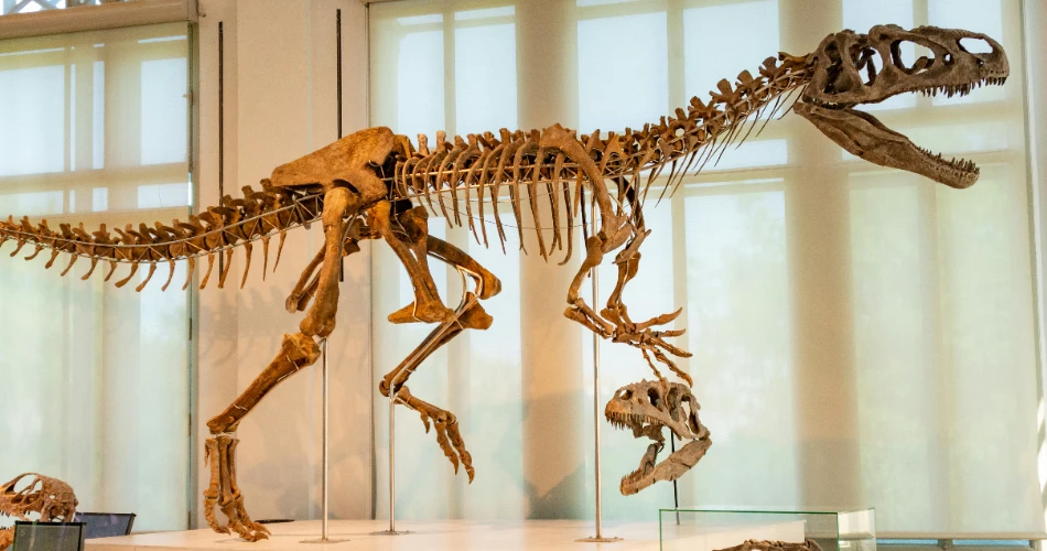 10 Top Tourist Attractions in Atlanta
