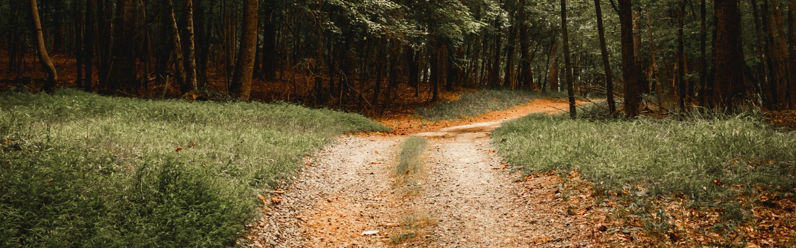 Hiking Trails In Atlanta