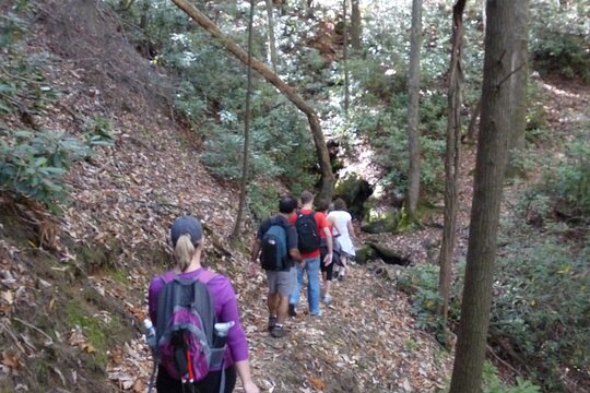 Tour image 5