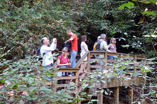 Tour image 6