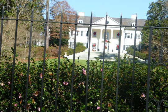 Tour image 6